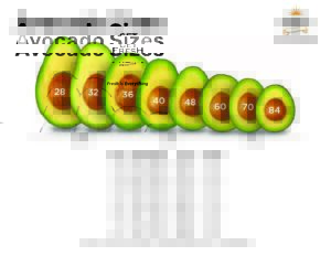 Avocado Sizing Specification flyer thumbnail