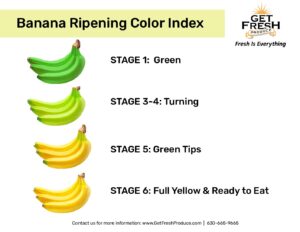 Banana Ripening Color Index flyer thumbnail