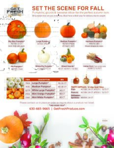Fall Decor flyer thumbnail