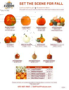 Fall Decor flyer thumbnail