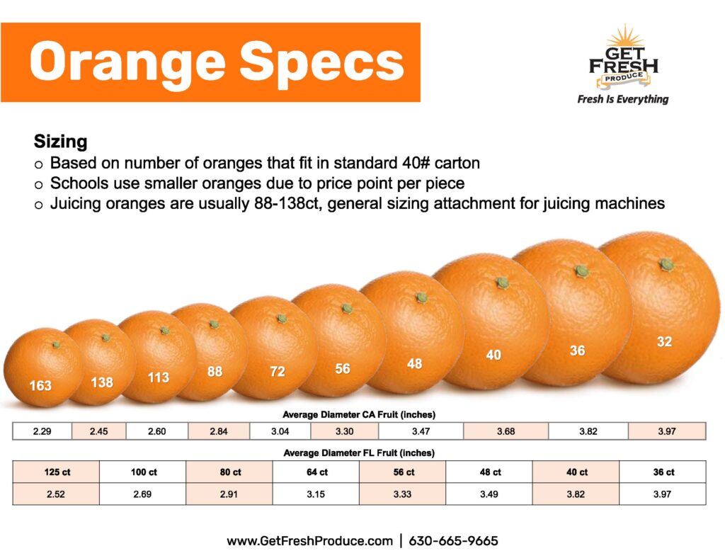 Foodservice Sizing Chart flyer