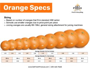 Orange Sizing Specification flyer thumbnail