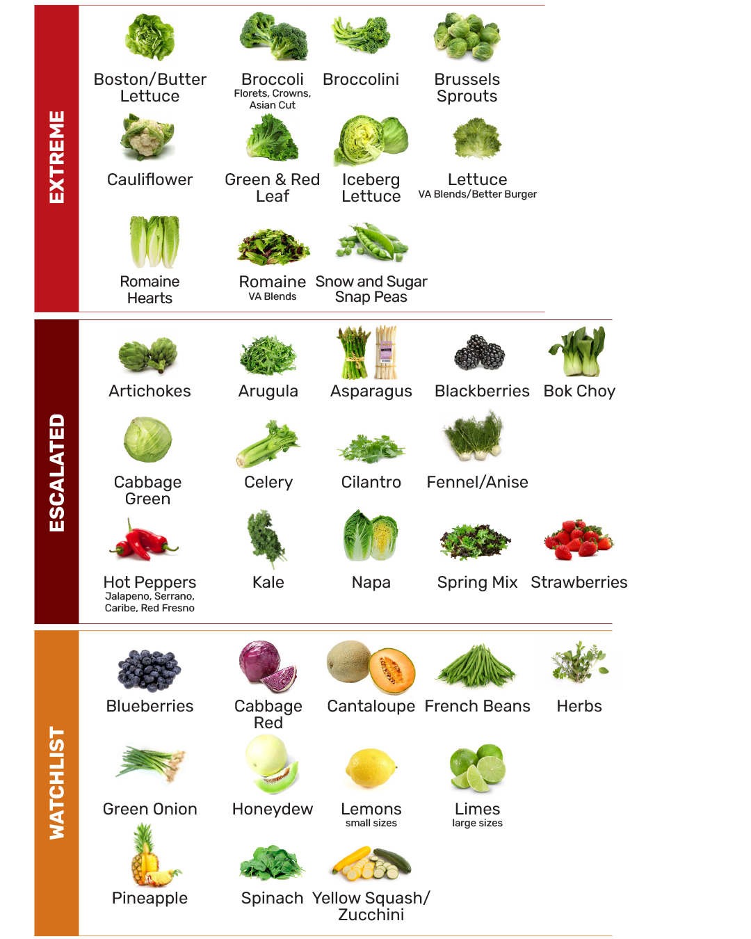 Fresh produce market review